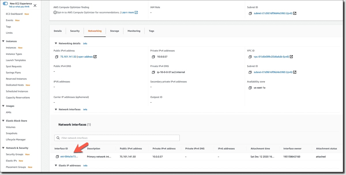 Monitoring Public IPs