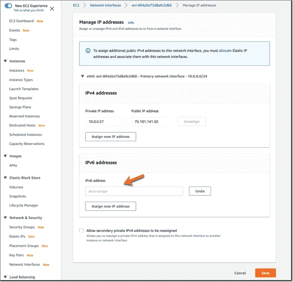 Monitoring Public IPs