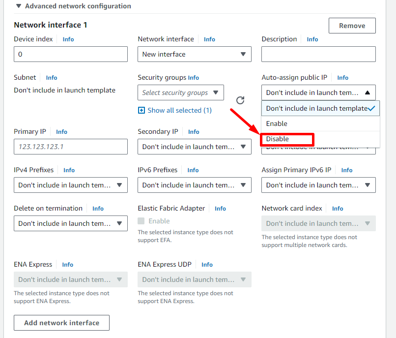 Verify the ENI is attached to the instance